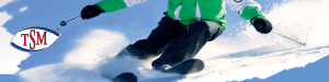 Winter Ski Cross