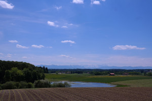 Landwirtschaft in Bayern und berufliche Gesundheitsvorsorge. TSM Bandagen informiert.