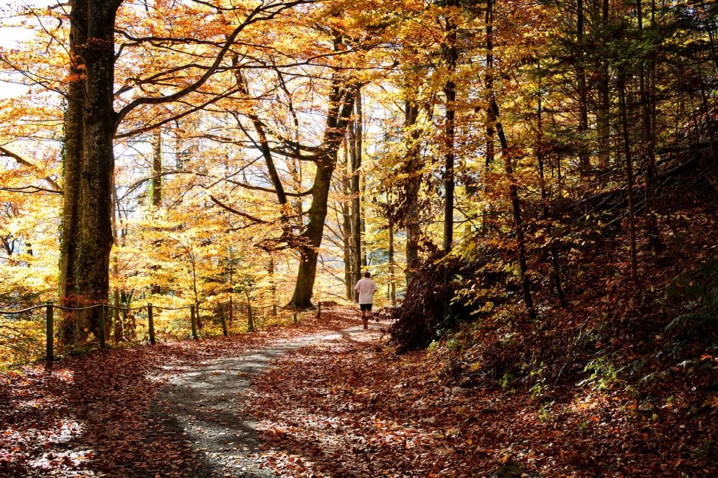 Lauftraining im Herbst