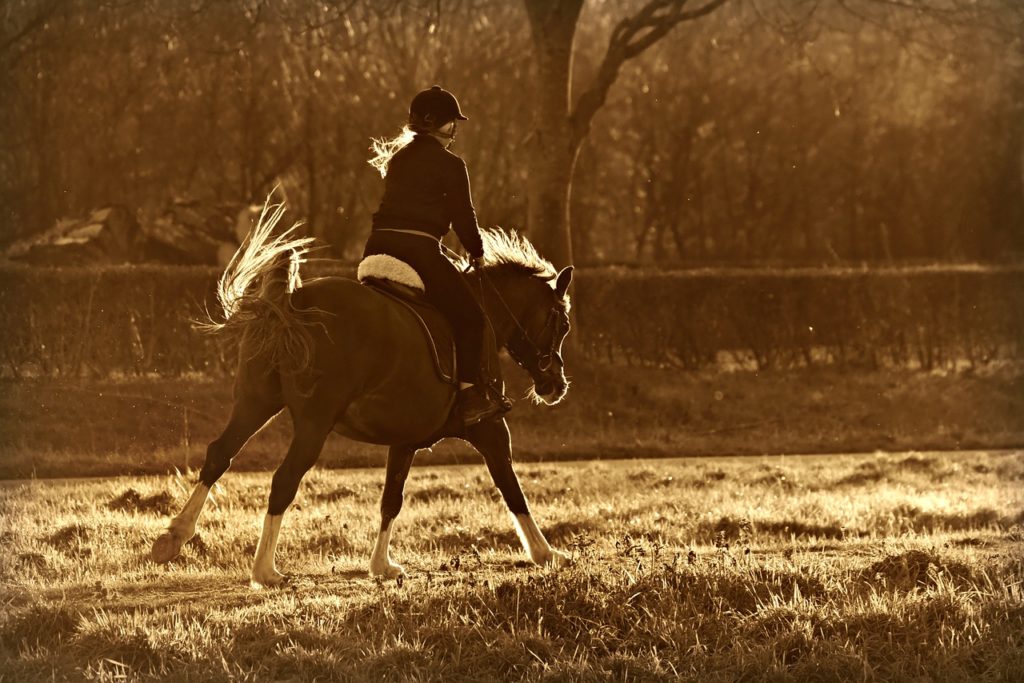 Reiten mit Rückenbandagen - perfekte Unterstützung beim Pferdetraining.