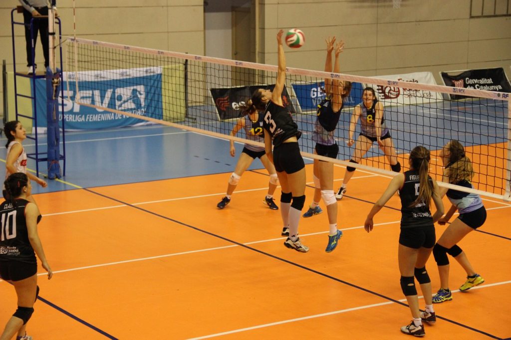 Sportart Volleyball Bundesliga