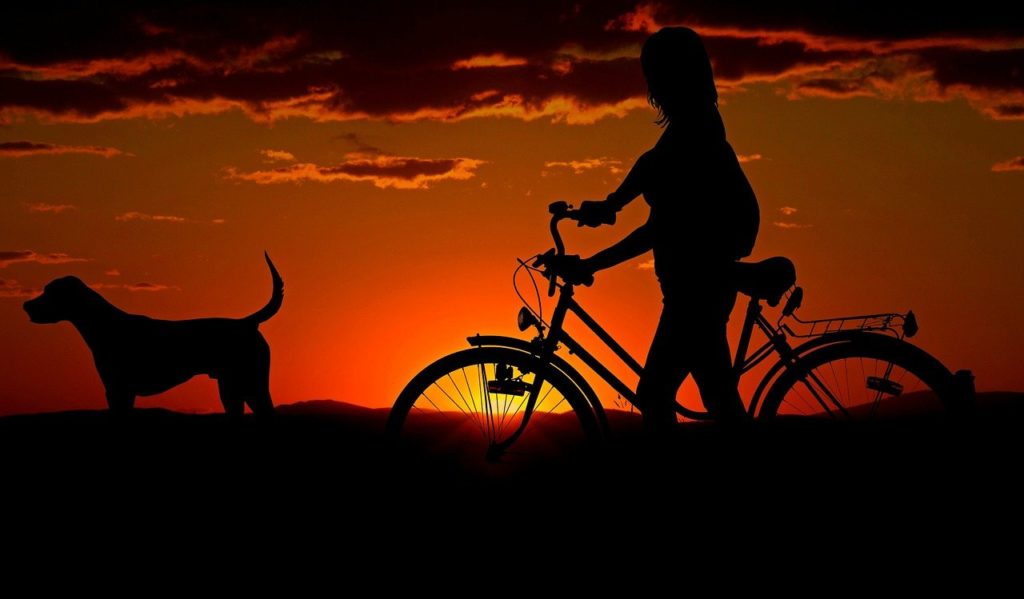 Hundebandagen Vorderbein Schutz/Radfahren ein toller Sport für jedermann